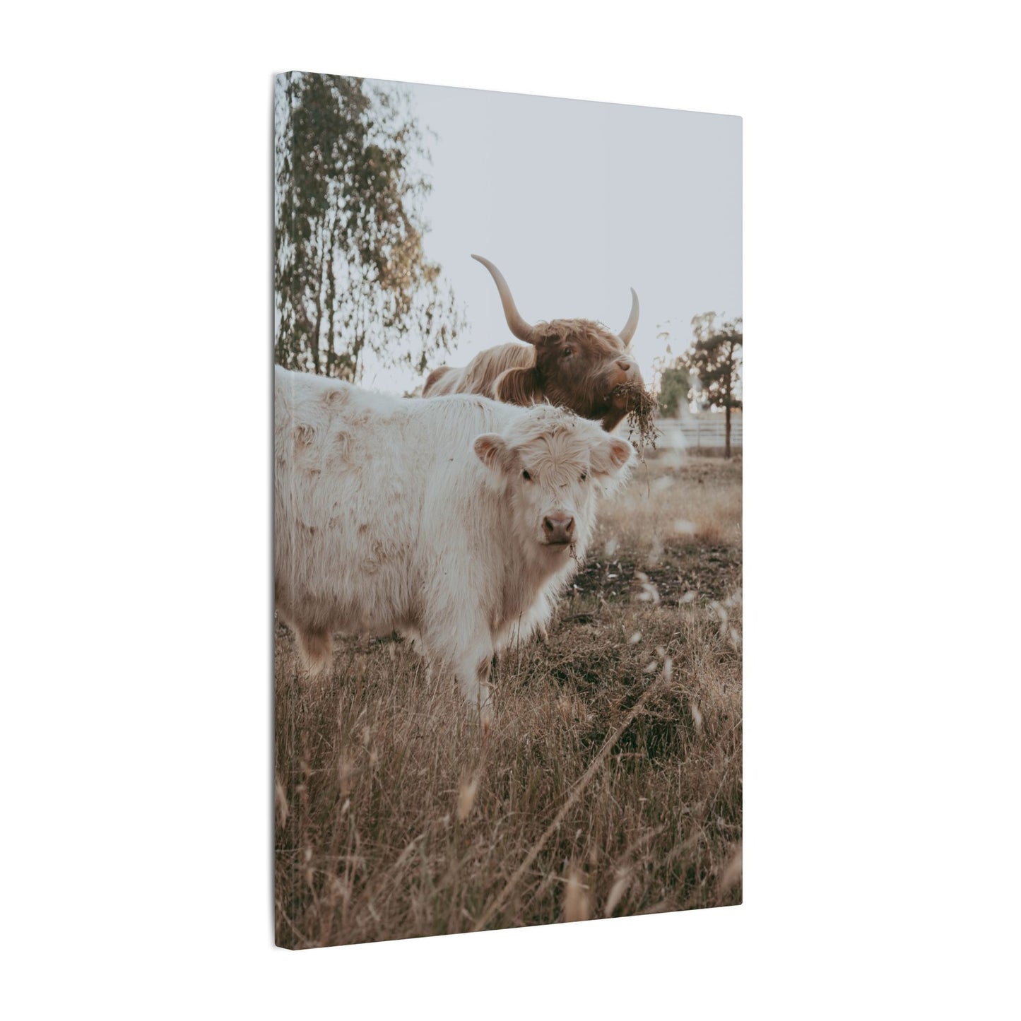 Clyde & Company – Canvas Print