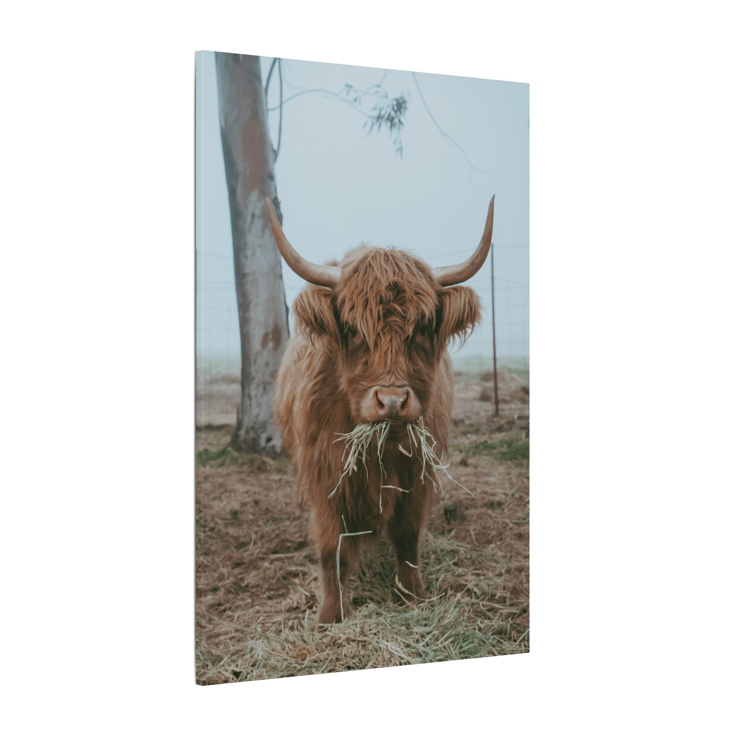 Fog & Forage Canvas Print