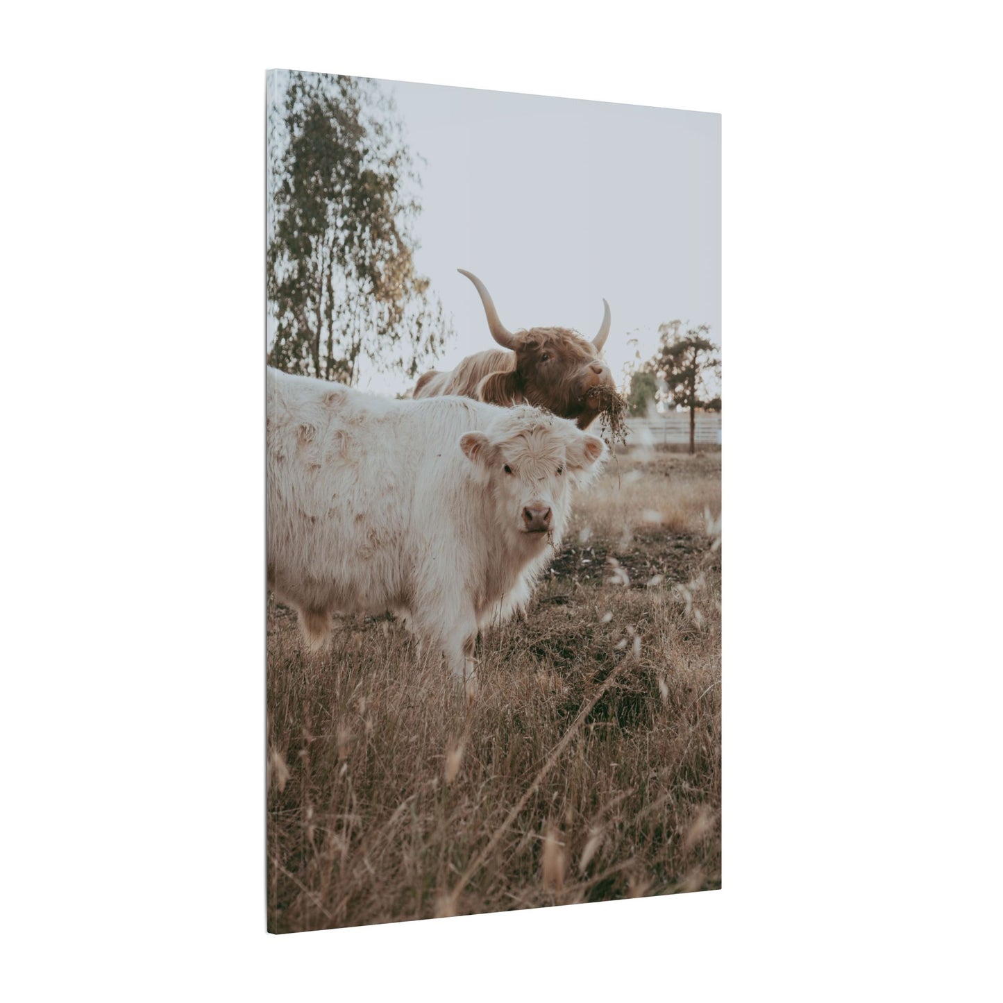 Clyde & Company – Canvas Print