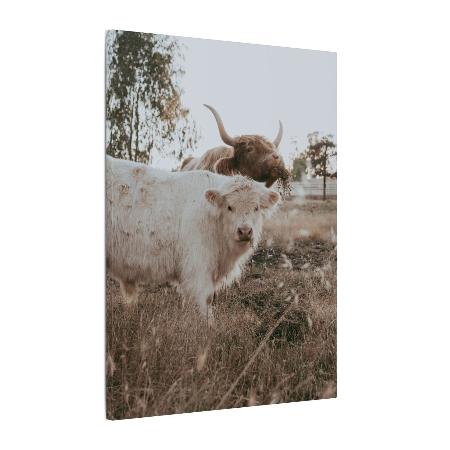 Clyde & Company – Canvas Print