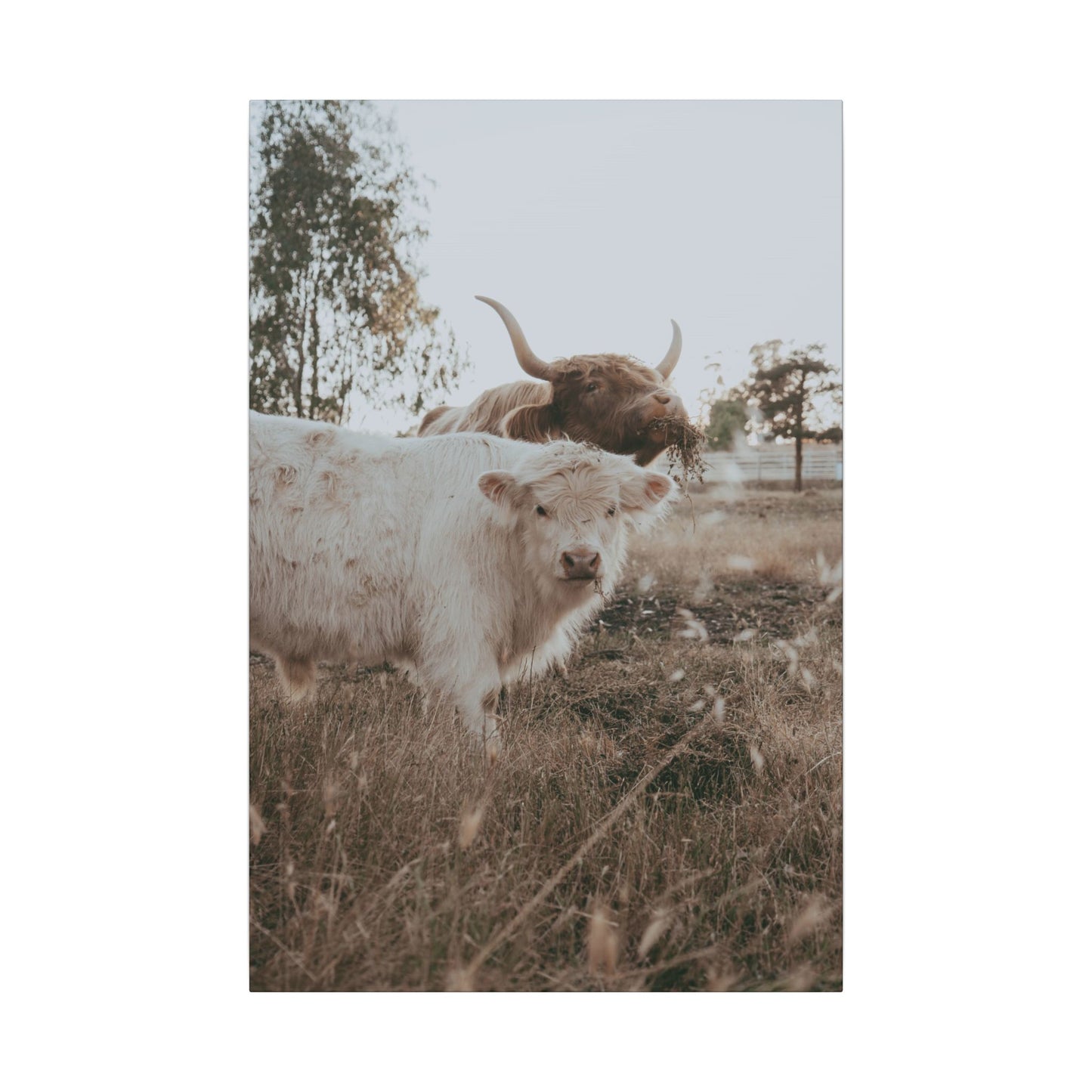 Clyde & Company – Canvas Print