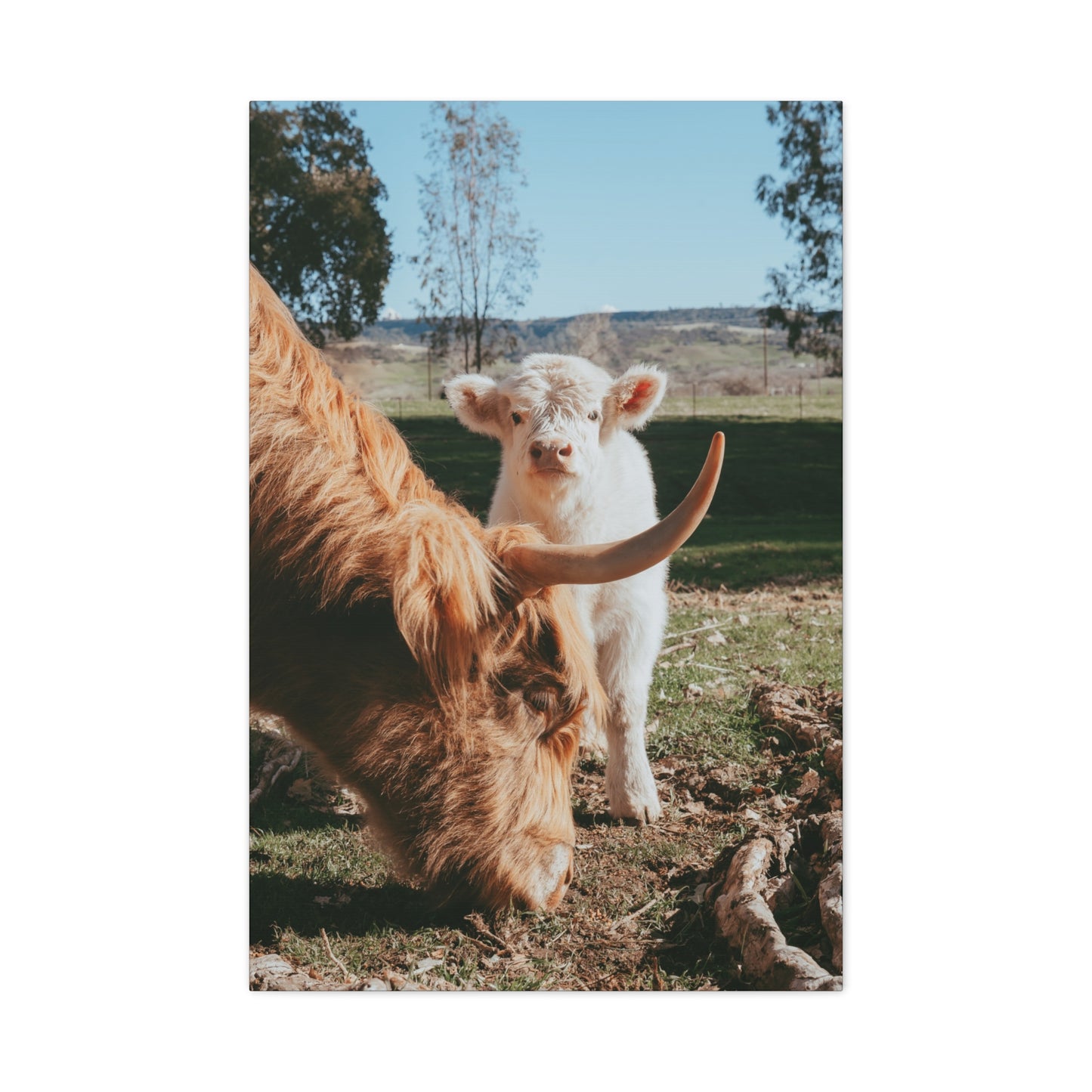 The Pair Canvas Print