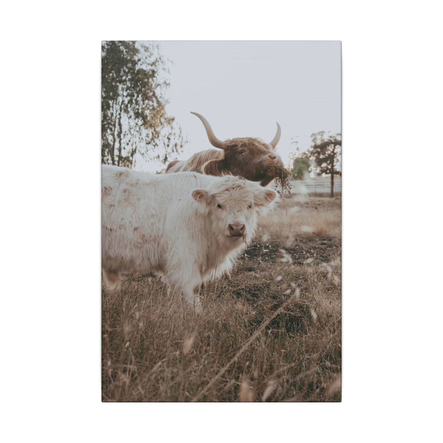 Clyde & Company – Canvas Print