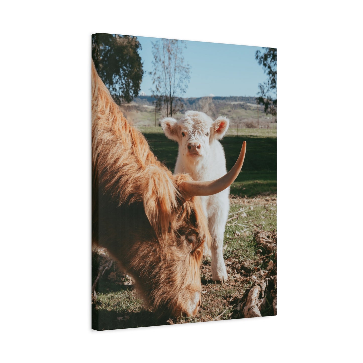 The Pair Canvas Print