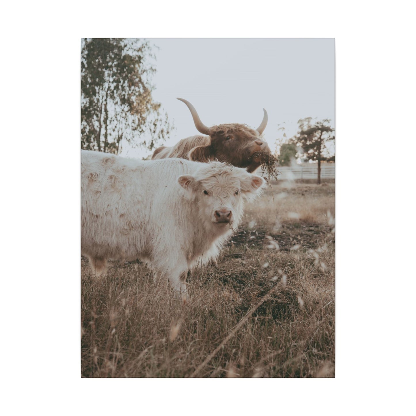 Clyde & Company – Canvas Print