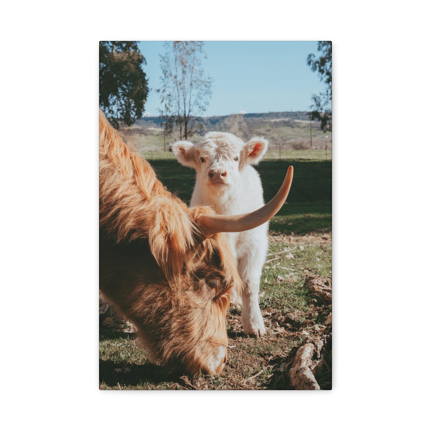 The Pair Canvas Print