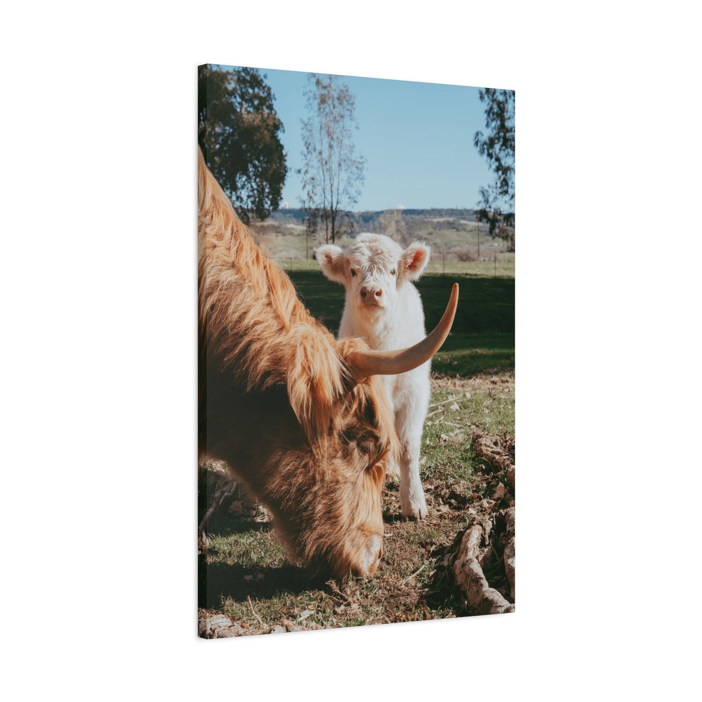 The Pair Canvas Print