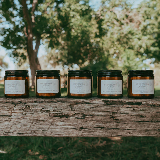 Whipped Tallow Moisturizer - Seasonal Scents