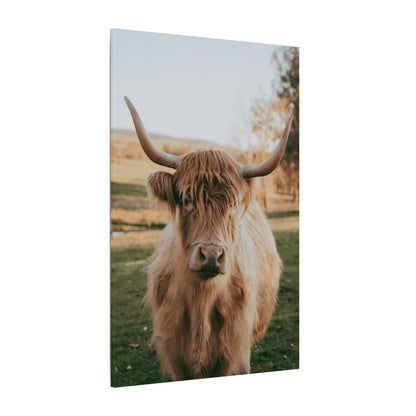 Sun-kissed Matilda Canvas Print