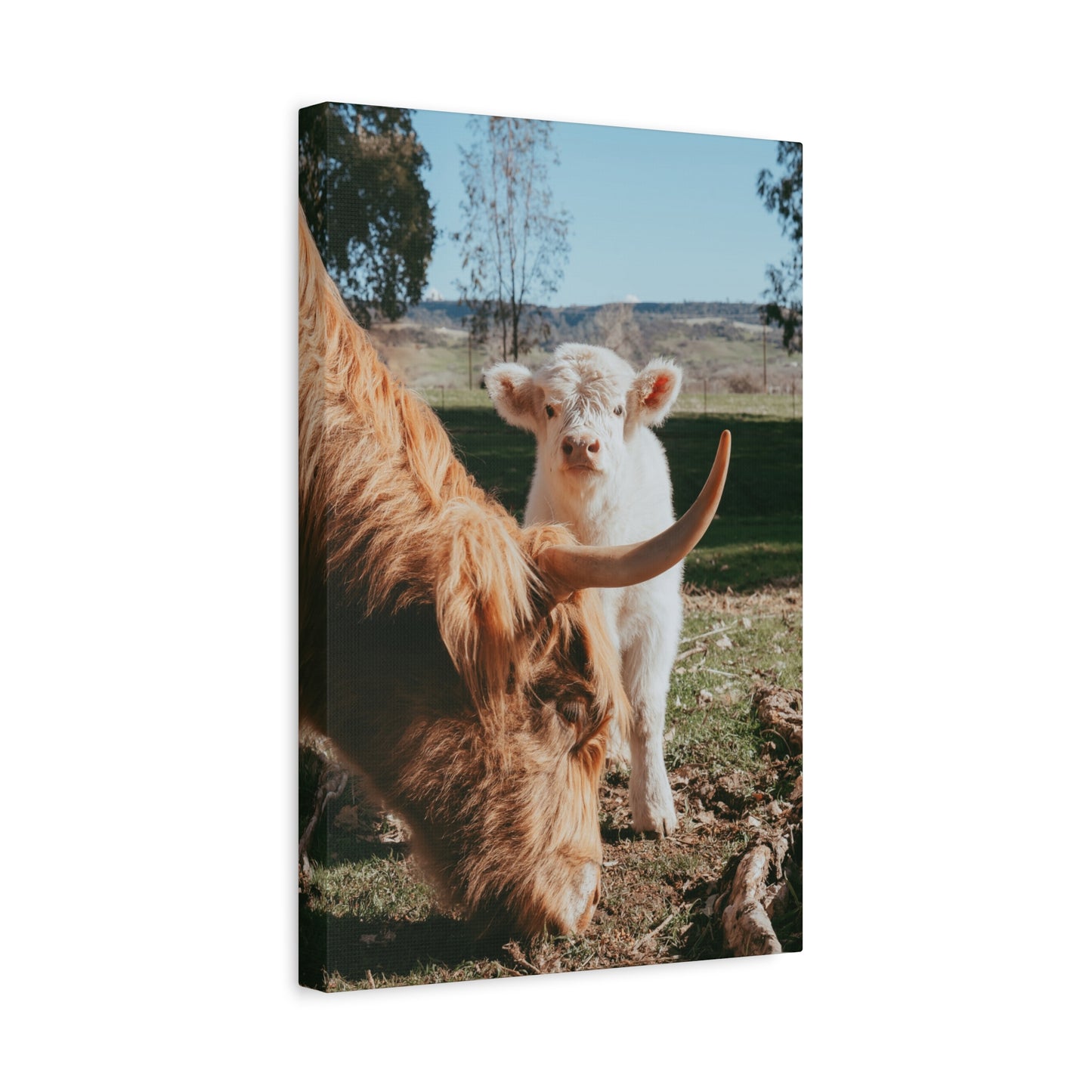 The Pair Canvas Print