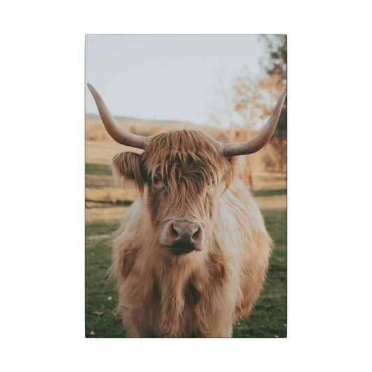 Sun-kissed Matilda Canvas Print