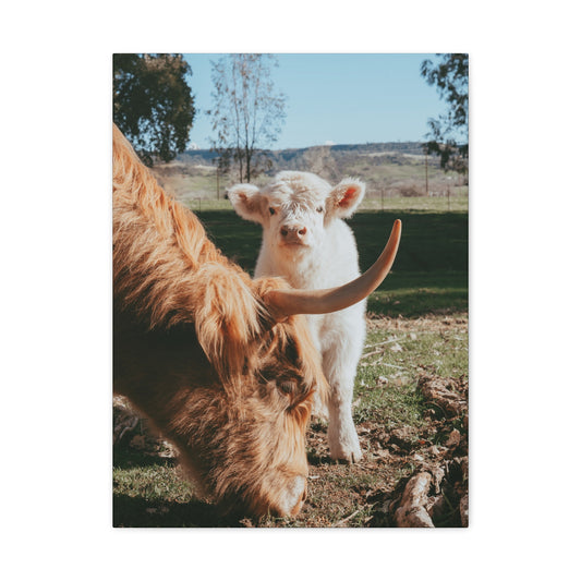 The Pair Canvas Print