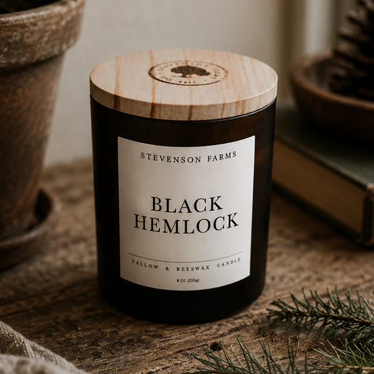 Tallow & Beeswax Candle - Black Hemlock