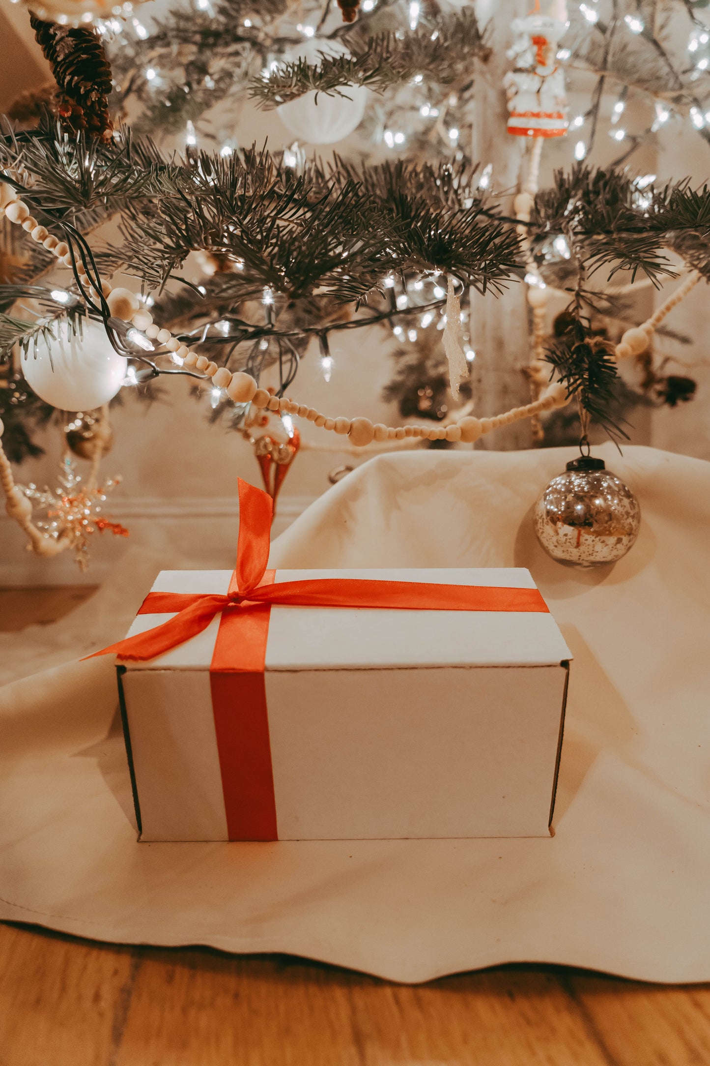 Holiday Gift Bundle