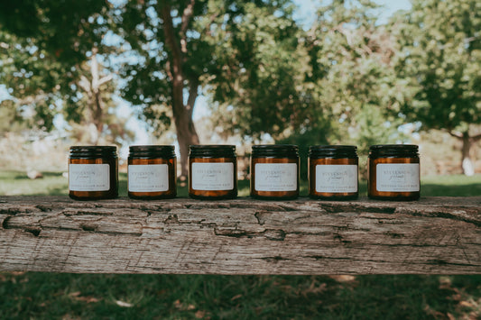 Whipped Tallow Moisturizer