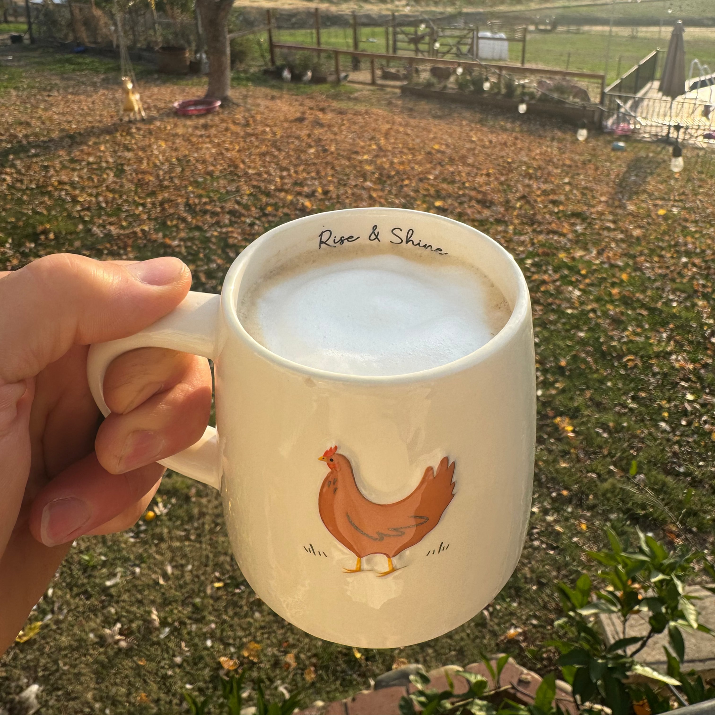 The Morning Garden Bundle