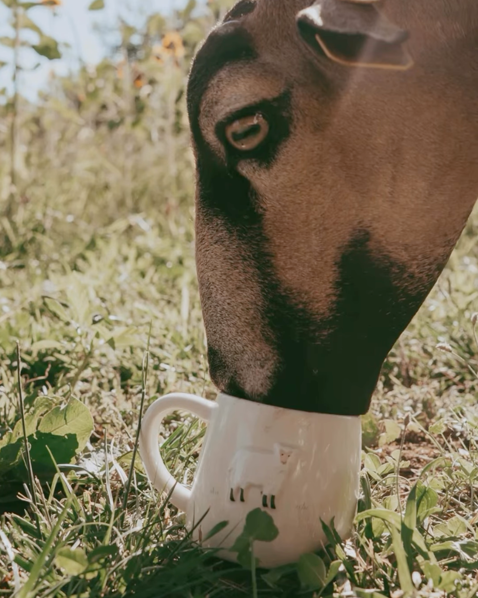 Bramble Farm Sheep Stoneware Mug In Gift Box