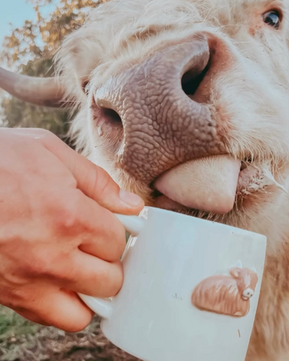 Bramble Farm Highland Cow Stoneware Mug In Gift Box