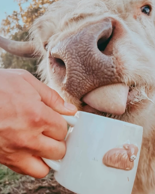 Bramble Farm Highland Cow Stoneware Mug In Gift Box