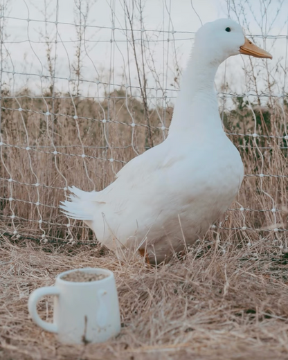 Bramble Farm Duck Stoneware Mug In Gift Box