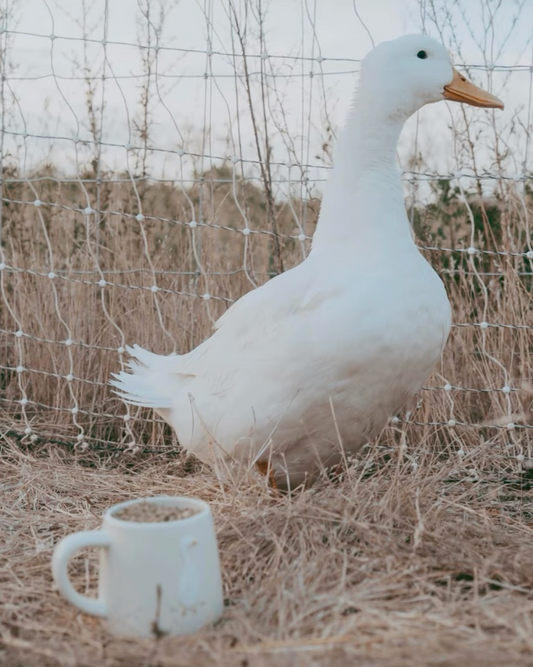 Bramble Farm Duck Stoneware Mug In Gift Box