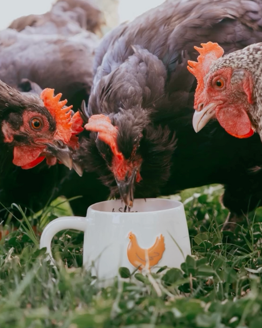 Bramble Farm Chicken Stoneware Mug In Gift Box