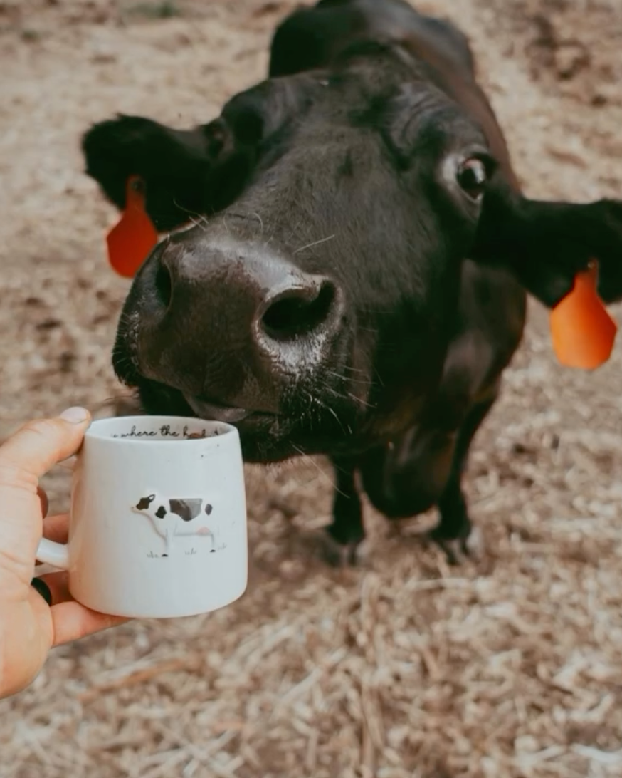 Bramble Farm Cow Stoneware Mug In Gift Box