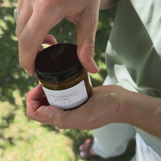 Whipped Tallow Moisturizer - Everyday Scents